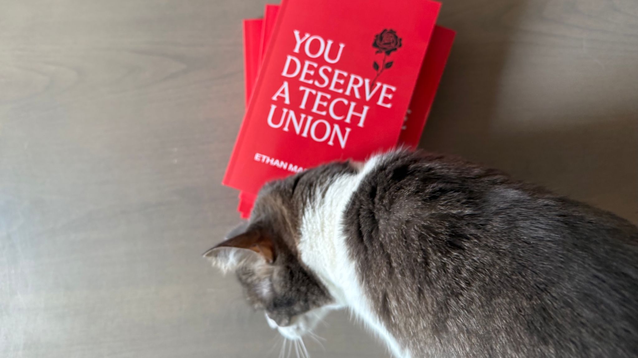 A cat nuzzling a stack of Ethan's book, with a red cover and a black rose, entitled "You Deserve A Tech Union."