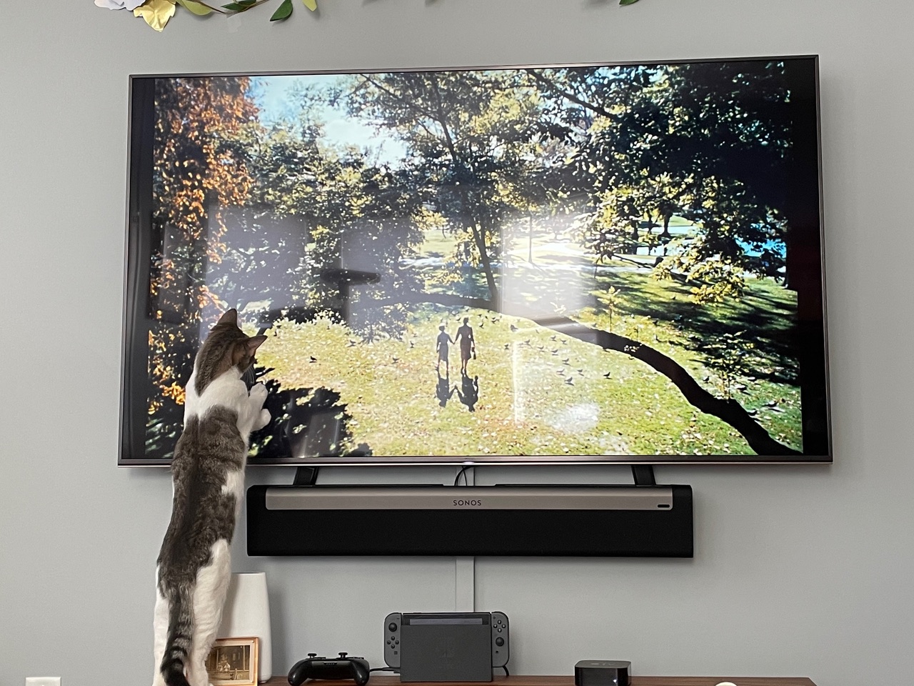 A white-and-tabby cat standing on her hind legs attempts to reach through a TV screen to get the tiny video game people inside it.