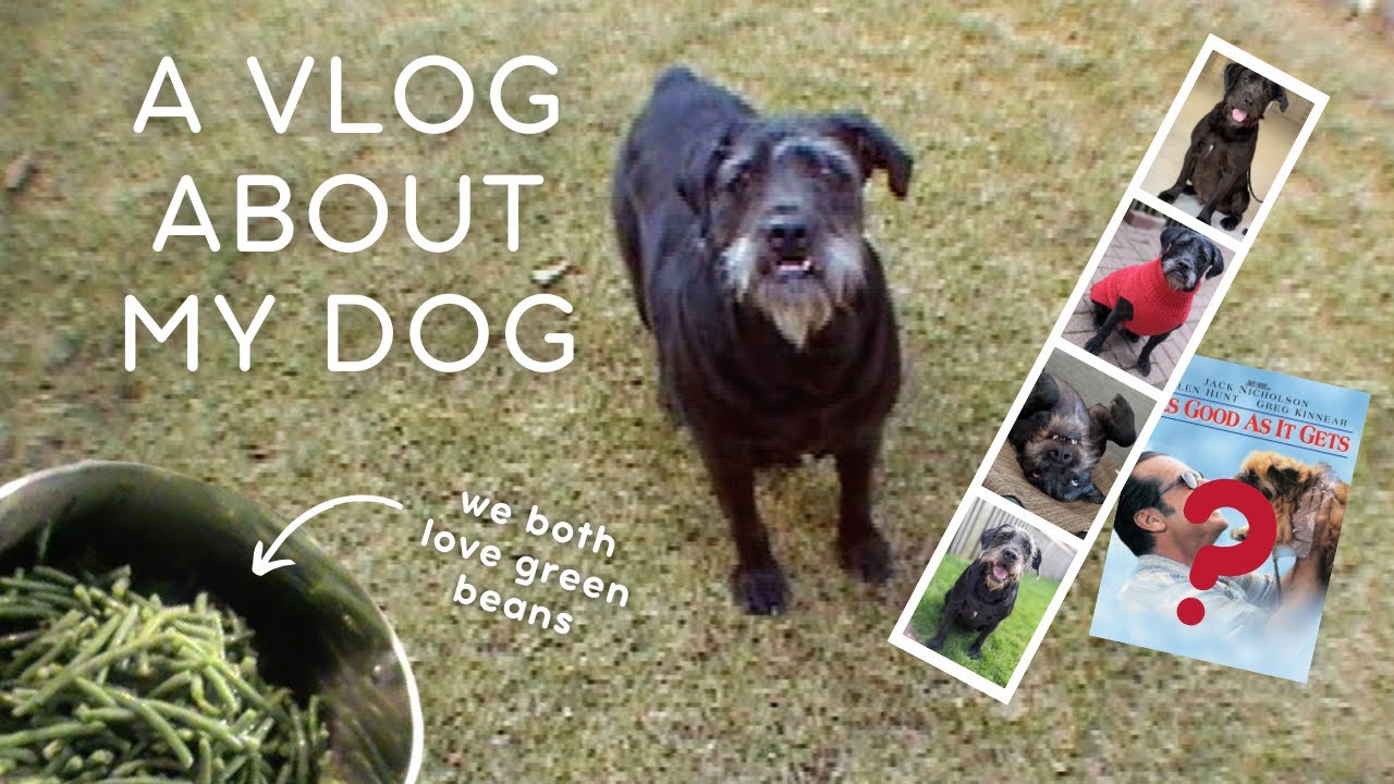 A video thumbnail entitled "A Vlog About My Dog," showing a scruffy black-and-gray terrier on a lawn, with a subtitle pointing to a pan of food labeled "we both love green beans."